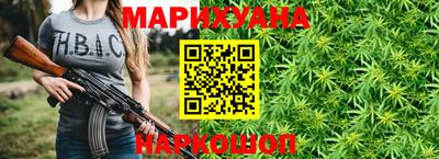 мдпв Татарск