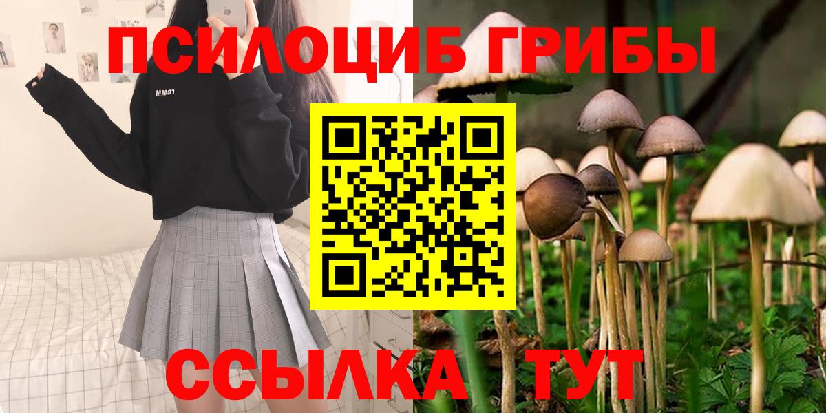 Псилоцибиновые грибы мухоморы Оренбург