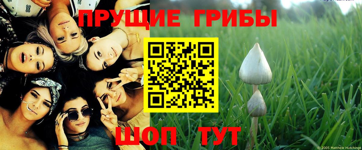 Оренбург  Псилоцибиновые грибы MAGIC MUSHROOMS  Вход с VPN 